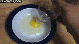 卵の白身と黄身をわける